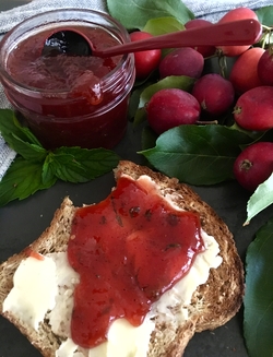 20 Best Ways to Cook with Crab Apples recipes - Preserving