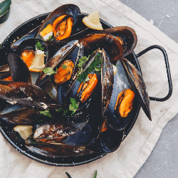 How long do mussels last after cooking recipes - Ingredient